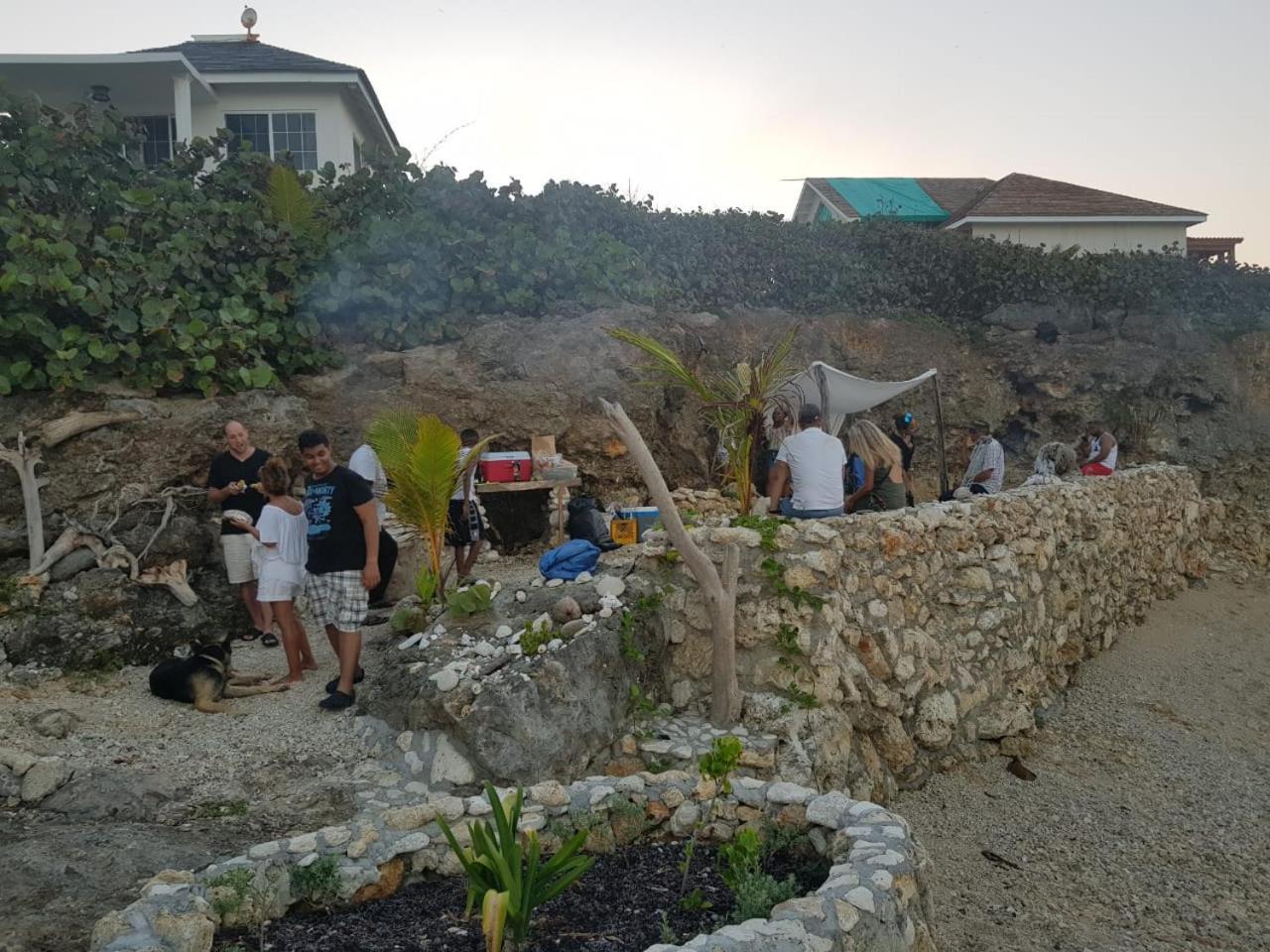 Robins Bay Forever Cottage מראה חיצוני תמונה