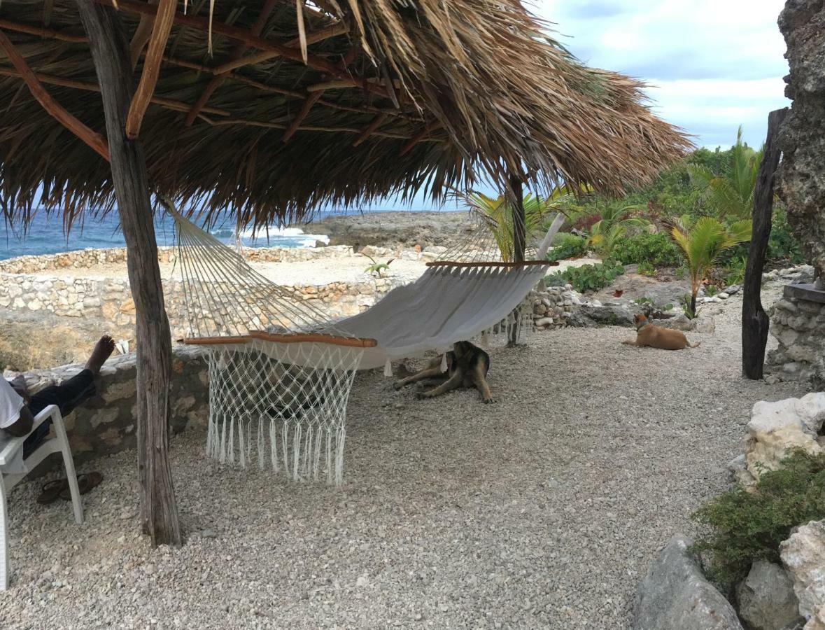 Robins Bay Forever Cottage מראה חיצוני תמונה